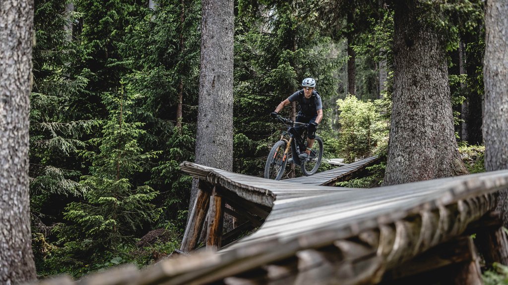 Ralph van den Berg and Max Chapuis have set a new altitude world record in Davos Klosters on an e-bike.