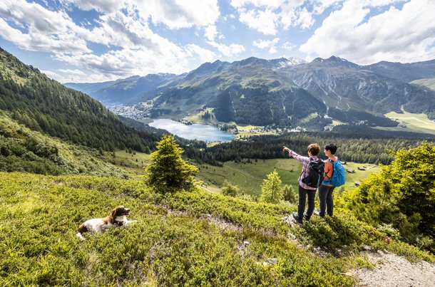 Davos Klosters ist ideal für Sommerferien zusammen mit einem Hund.