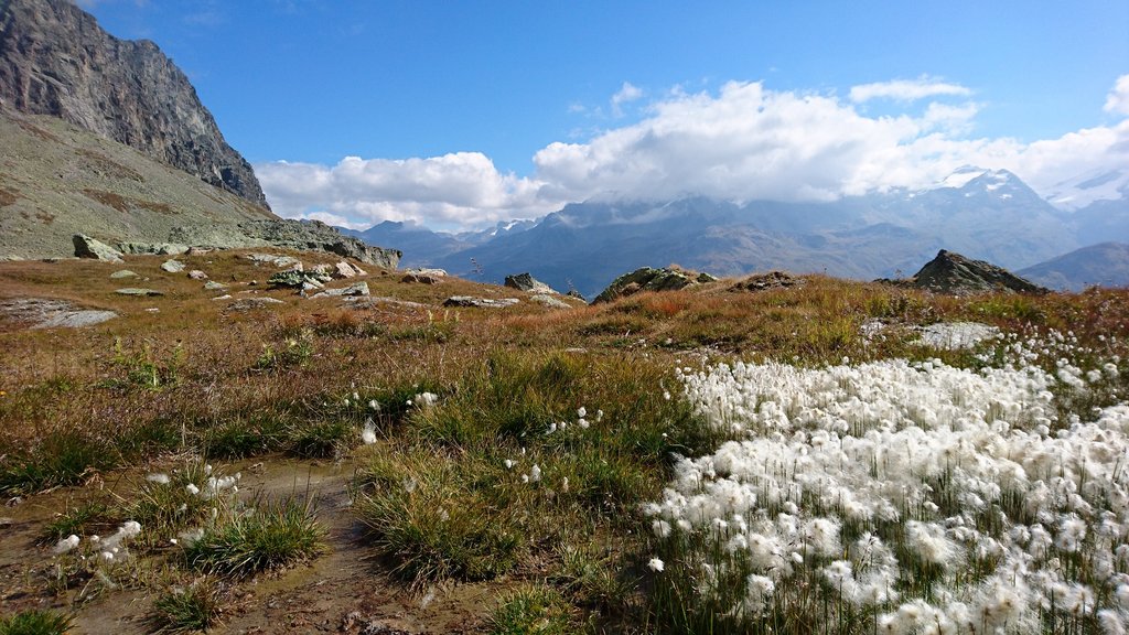 Der Parc Ela in der Nähe von Davos Klosters ist der grösste Naturpark der Schweiz.