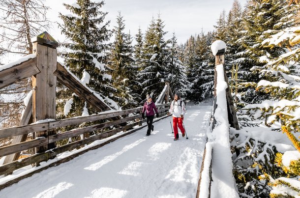 Winterwandern in Davos Klosters