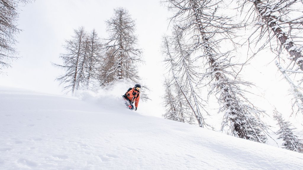 When freeriding in Davos Klosters, you can still find untracked slopes a few days after the last snowfall.