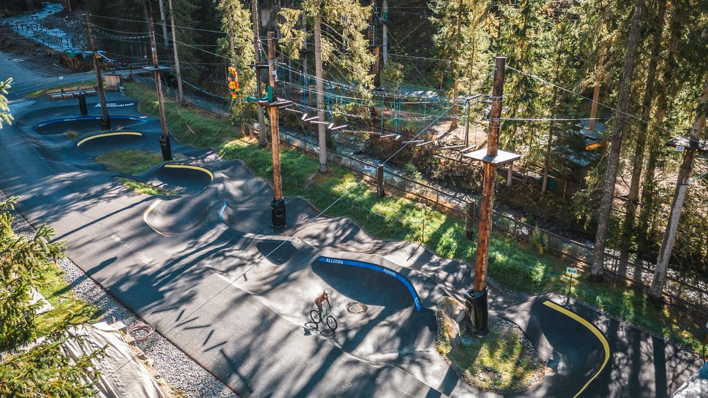 Bike park in Davos with pump track, dirt line and skills park for mountain bikers.