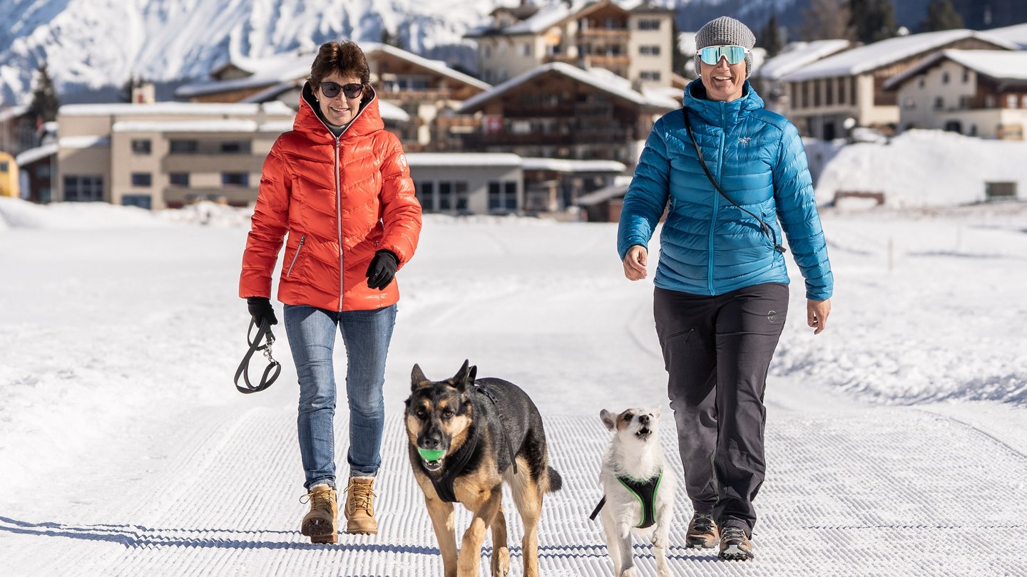 In Davos Klosters fühlen sich Hunde in den Ferien pudelwohl.