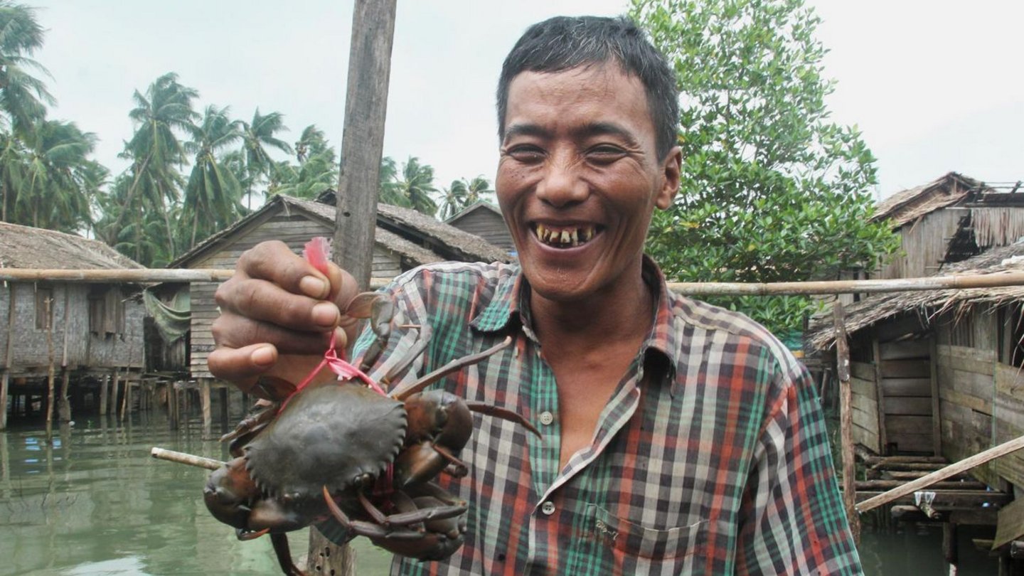 Wirksamer Klimaschutz mit myclimate: Projekt zur Mangrovenaufforstung in Myanmar