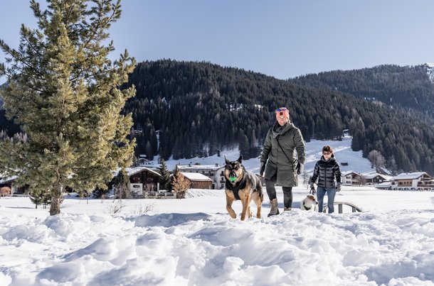 Ferien mit Hund in Davos Klosters.